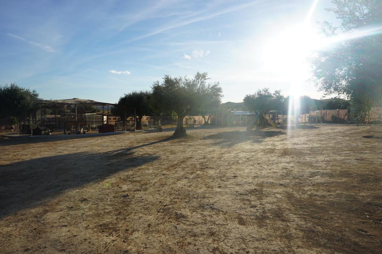 Vila Cuchi Farm Chinchón Exteriér fotografie